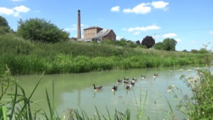 A view of Crofton pumping station fro the canal