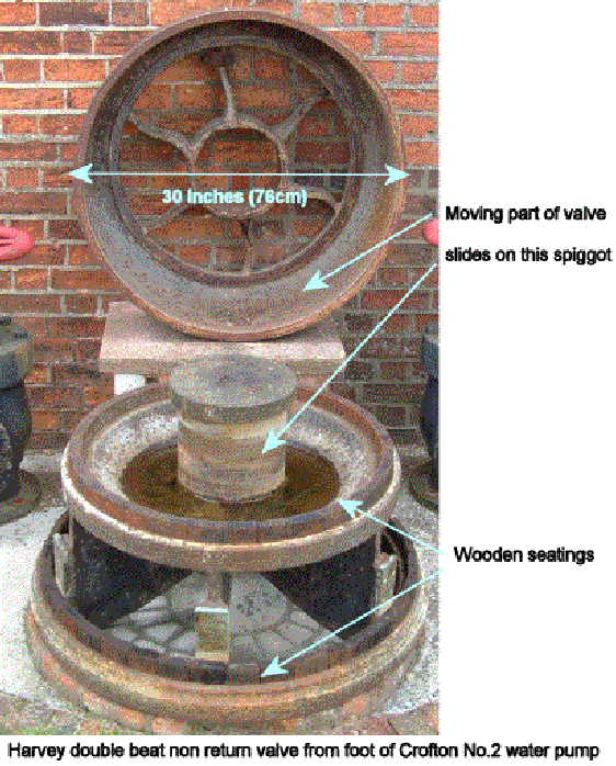 Non return water valve
